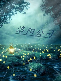 洛阳公司