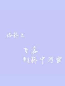 洛林之飛落到林中的雪