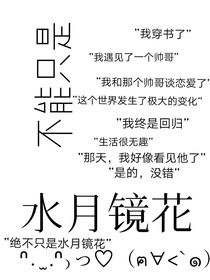 不能只是水月镜花