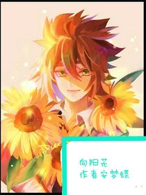 向阳花的光