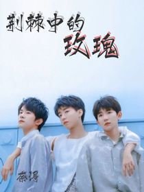 TFBOYS：荆棘中的玫瑰