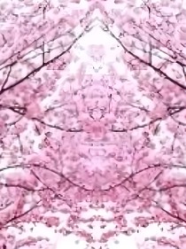 想不想來(lái)玩?zhèn)€游戲
