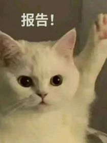 我见君如初