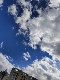 如果生活欺骗了你