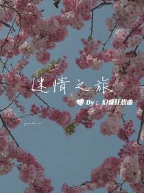 迷情之旅