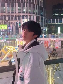 郁金香……