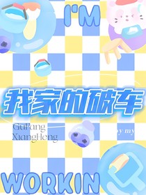 我家的破车