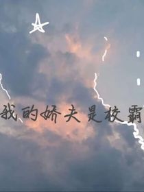 我的娇夫是校霸