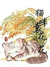 猫咪袁花花