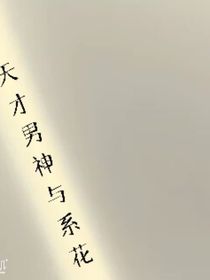 天才男神与系花