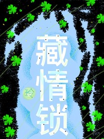 藏情锁