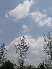 你會愛我嗎，先生