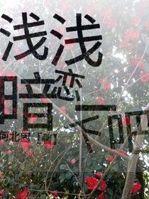 浅浅暗恋一下呀