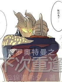 賽羅奧特曼之下次重逢