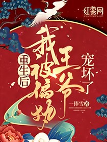 重生后我被偏执大佬宠坏了