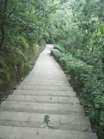 桥上的路走一走