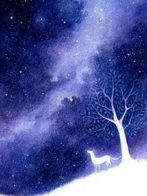 斗龙：寥寥星辰
