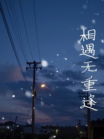 相遇无重逢-d028