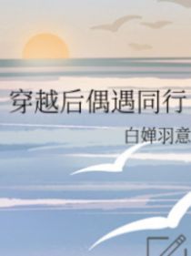 穿越后偶遇同行