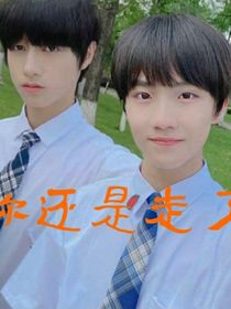朱志鑫：你还是走了