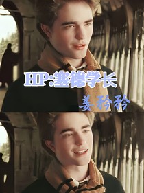 HP：塞德學(xué)長(zhǎng)