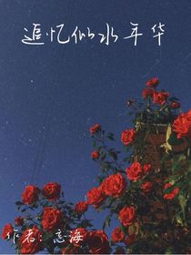 追忆似水年华……
