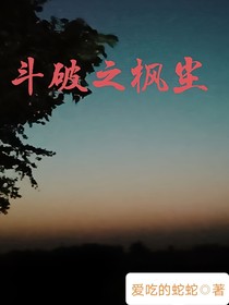 斗破之楓塵