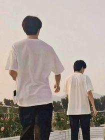 隨心而歸