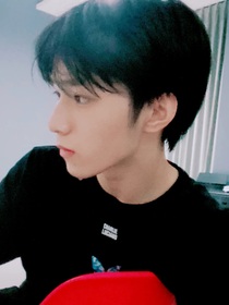 别睡了小狼崽