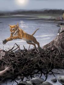 猫武士之狮焰之转世