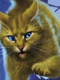 猫武士之根泉的荣耀