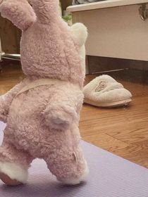 航：还挺可爱的