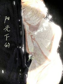 阳光下的梧桐