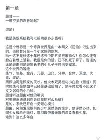 炮灰的美貌系统