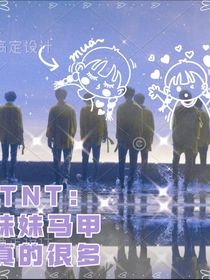 TNT：努力的梦想
