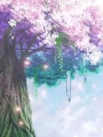 相思樹下苦情緣