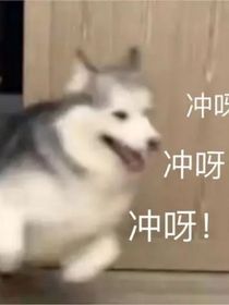 云突然给我了六个姐姐