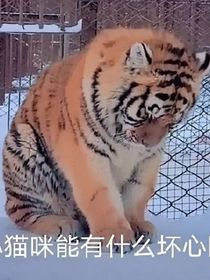 素材小屋