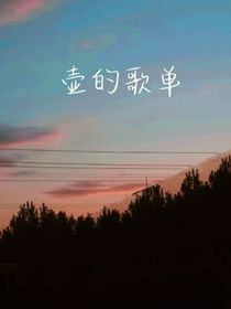 壶的歌单