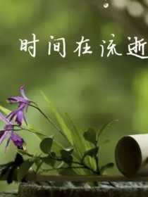 花之境一一我是一朵花