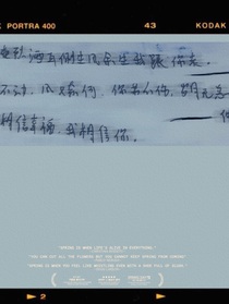 TF家族三代：二代師兄不好惹