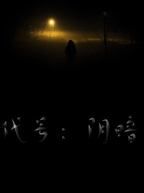 代号：阴暗