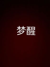 重温梦醒