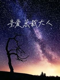亲爱总裁大人