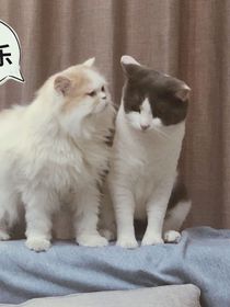 追溯光