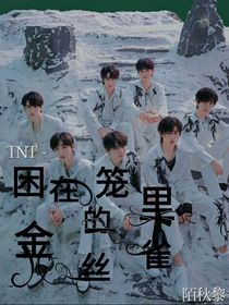 TNT：困在笼里的金丝雀