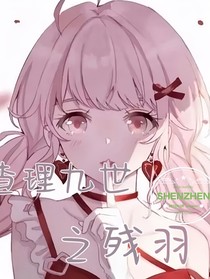 查理九世之殘羽