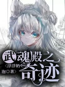 武魂殿之奇迹