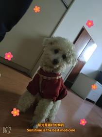 擺爛人去修仙