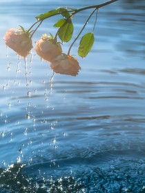 哈利波特：面朝大海，春暖花開(kāi)